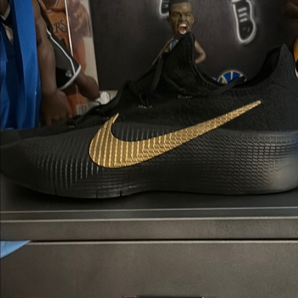 LeBron tr1
